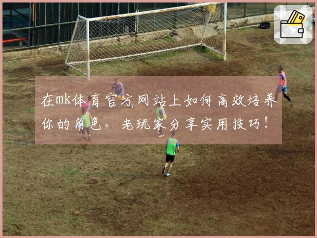 在mk体育官方网站上如何高效培养你的角色，老玩家分享实用技巧！