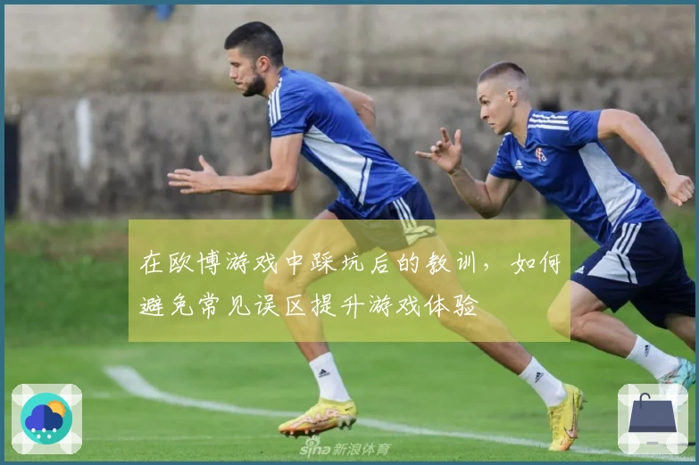 在欧博游戏中踩坑后的教训，如何避免常见误区提升游戏体验